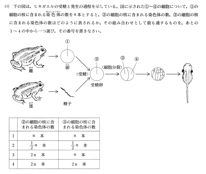 神奈川県の理科の入試対策について、ゴリゴリの勉強会やります！